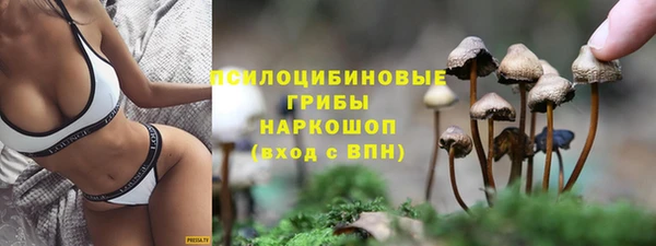 ПСИЛОЦИБИНОВЫЕ ГРИБЫ Алексин