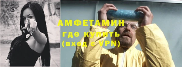гидра Лагань
