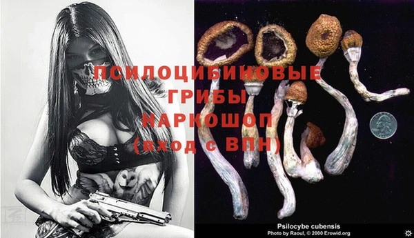 ПСИЛОЦИБИНОВЫЕ ГРИБЫ Алексин