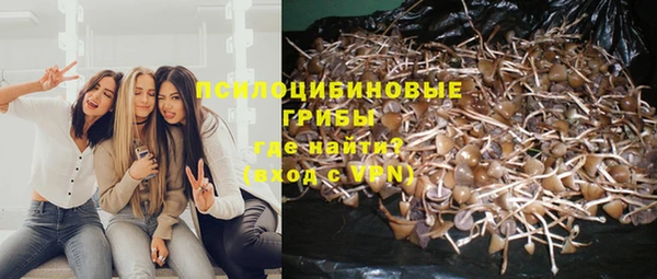 jwh Алзамай