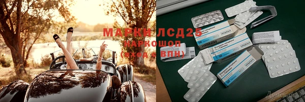 ПСИЛОЦИБИНОВЫЕ ГРИБЫ Алексин