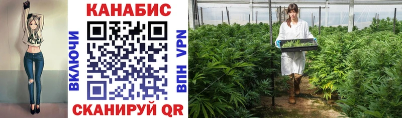 Каннабис OG Kush Миасс