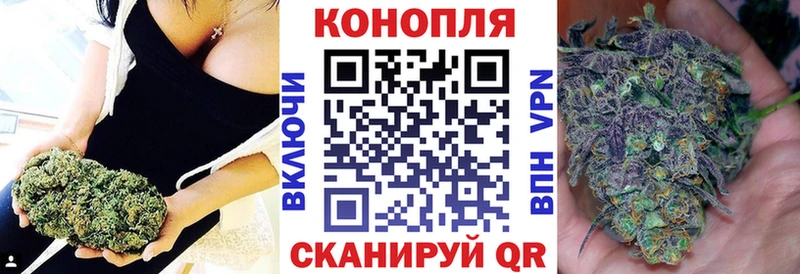 Марихуана сатива  мега вход  Миасс 